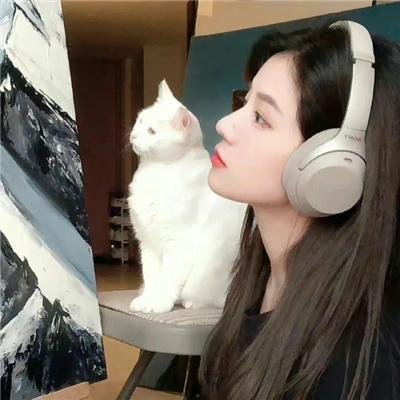 纳瓦尼事件簿